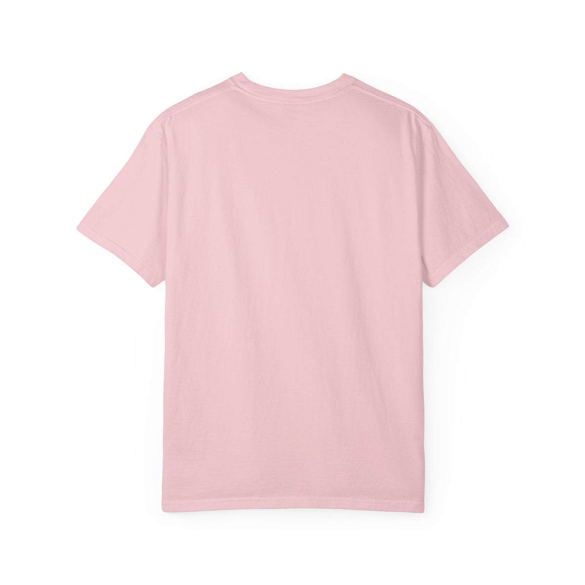 Sorry I'm Late, My Chickens Needed Me | Retro Comfort Colors Tee